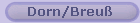 Dorn/Breu�