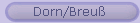 Dorn/Breu�